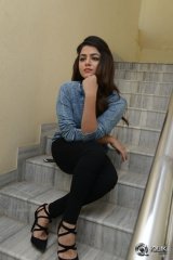 Wamiqa Gabbi Interview About Bhale Manchi Roju
